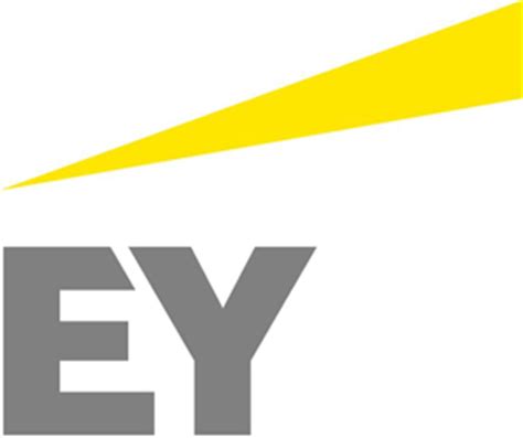 EY  2013  logo