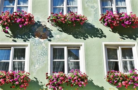 fachadas con flores