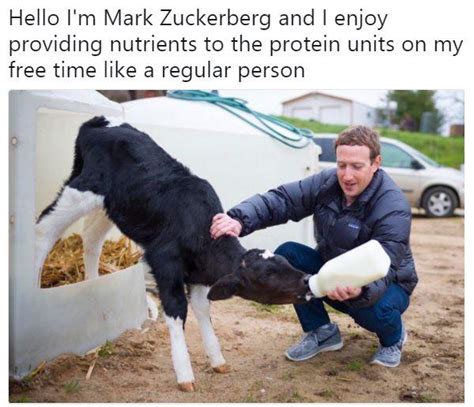 Fake Mark Zuckerberg Facebook Posts | Know Your Meme