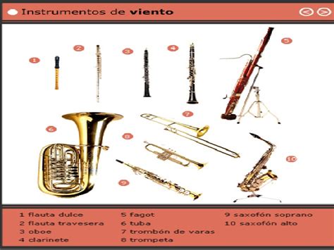 Familia De Instrumentos De Viento