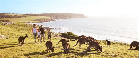 Family Holidays South Australia Package: Kangaroo Island