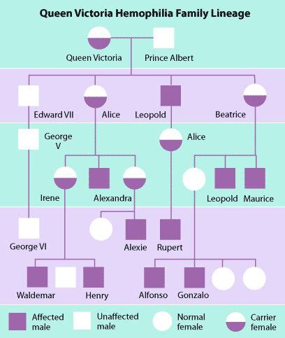 Family tree of Queen Victoria showing hemophilia. Research ...