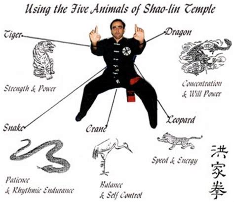 Famous Animal Style Kung Fu systems are: White Crane ...