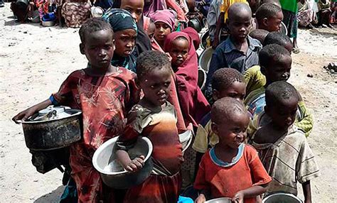 FAO: aumentó el número de personas que sufren hambre en el ...