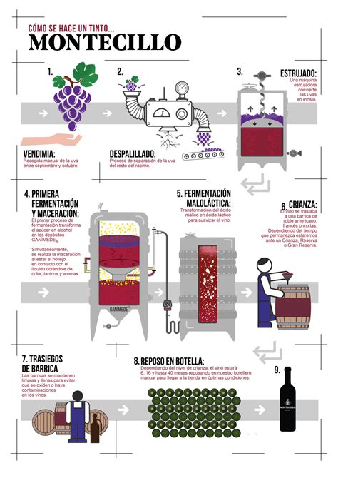 Fases de elaboración de vino tinto | Bodegas Montecillo