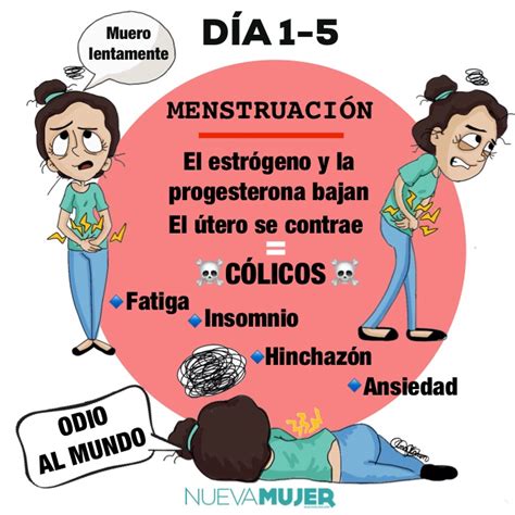 Fases del ciclo menstrual de las mujeres: ¿qué ocurre ...