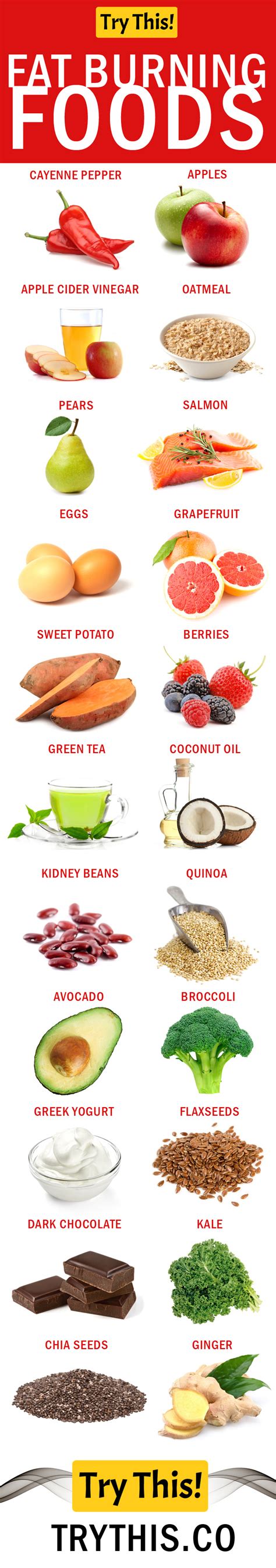 Fat Burning Foods – Best Foods To Eat For Weight Loss ...