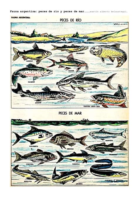Fauna argentina, peces de río y peces de mar