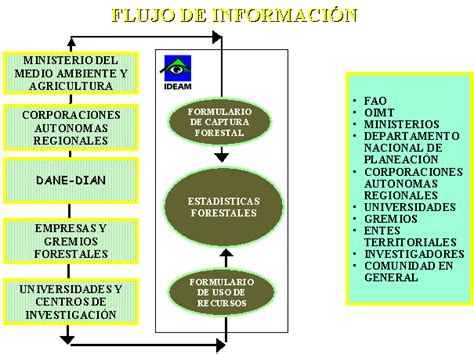 fauna y flora colombiana: junio 2011