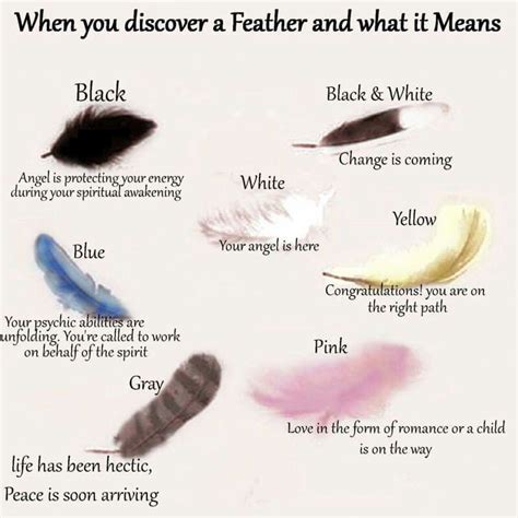 Feather color meanings | witchy | Pinterest