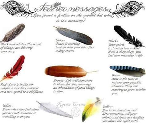 Feather meanings  color  | Magick | Pinterest | Feathers ...