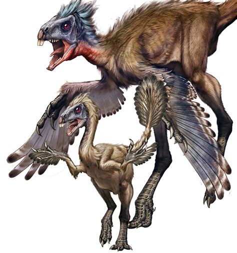 Feathered Dinosaurs Molted Like Birds | WIRED