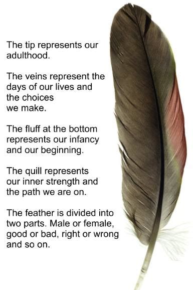Feathers … | Pinteres…