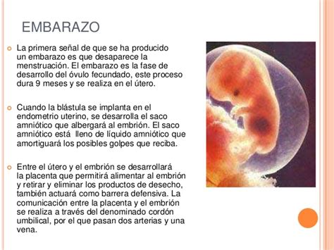 Fecundación embarazo y parto