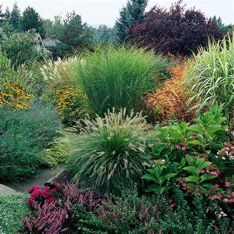 Feel free: Landscaping with ornamental grasses