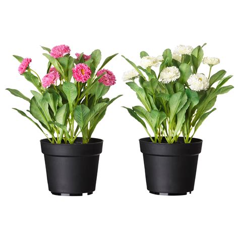 FEJKA Artificial potted plant Common daisy assorted ...