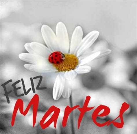 Feliz martes | DIAS DE LA SEMANA | Pinterest | Spanish ...