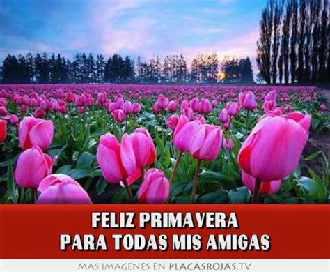 Feliz primavera para todas mis amigas   Placas Rojas TV