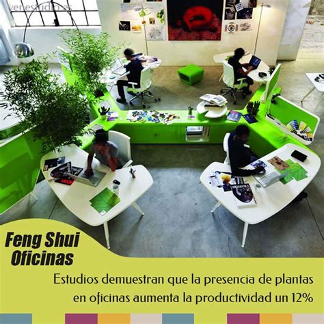 Feng Shui plantas en el trabajo | YEN Estudio