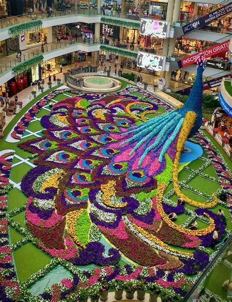 Feria de las Flores Medellín 2017 | Nieuws uit Colombia