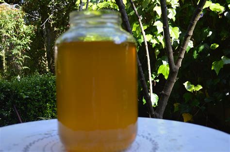 Fermented Tea with Ginger and Turmeric • Mind Body Oasis