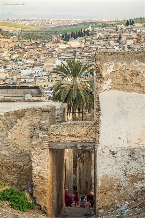 Fez, Marruecos   Qué ver y qué hacer   Tragaviajes