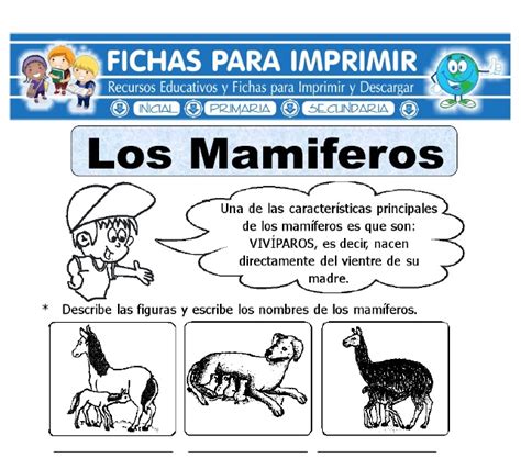 Ficha de Los Animales Mamíferos para Primaria   Fichas ...