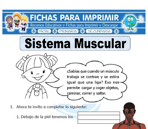 Ficha de Sistema Muscular para Primaria   Fichas para Imprimir