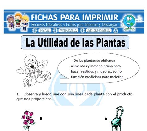Ficha de Utilidad de la Planta para Primaria   Fichas para ...