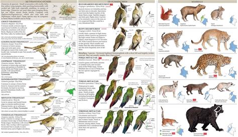 Field Guide to the Birds of Colombia – 2nd Edition ...