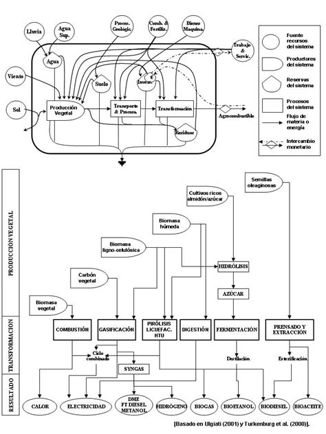 Figura 1. Procesos de transformación de la biomasa. A ...