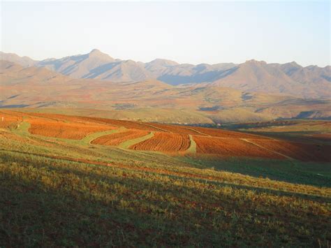File:African landscape.jpg   Wikipedia