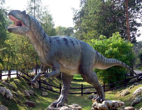 File:Allosaurus in Baltow 20060916 1500.jpg   Wikipedia