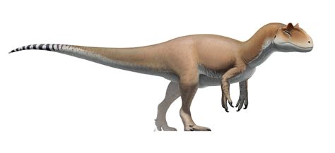 File:Allosaurus Revised.jpg   Wikimedia Commons