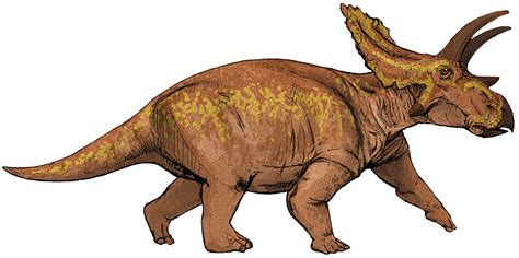 File:Anchiceratops dinosaur.png   Wikimedia Commons