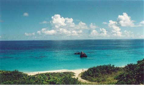 File:Bermuda beach2.jpg   Wikimedia Commons