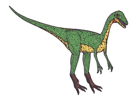 File:Compsognathus 95898.jpg   Wikimedia Commons