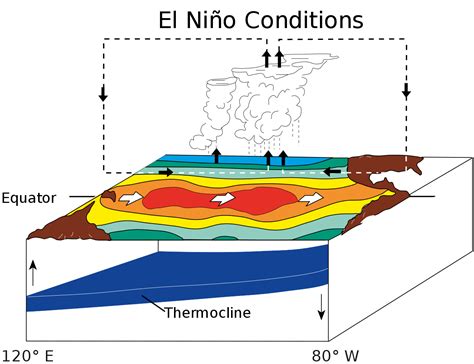 File:ENSO   El Niño.svg   Wikipedia
