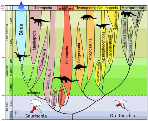File:Evolution of dinosaurs by Zureks.svg   Wikimedia Commons