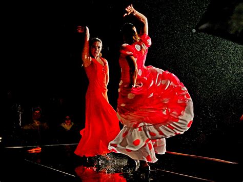 File:Flamenco im Regen.jpg   Wikimedia Commons