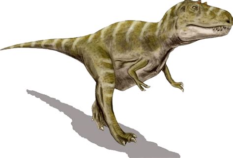File:Gorgosaurus BW transparent.png   Wikimedia Commons