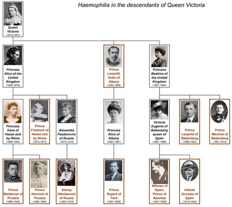 File:Haemophilia of Queen Victoria   family tree by shakko ...