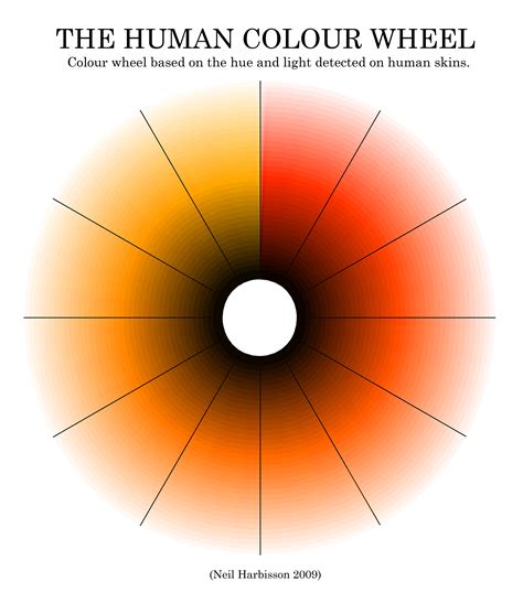 File:Human Color Wheel by Neil Harbisson.jpg   Wikipedia