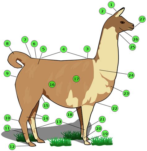 File:Llama with numbers.svg   Wikipedia