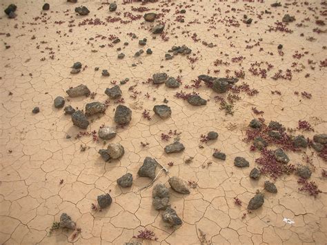 File:Lobos Island desertification.jpg   Wikimedia Commons
