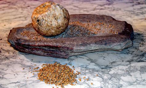 File:Molino neolítico de vaivén.jpg   Wikimedia Commons