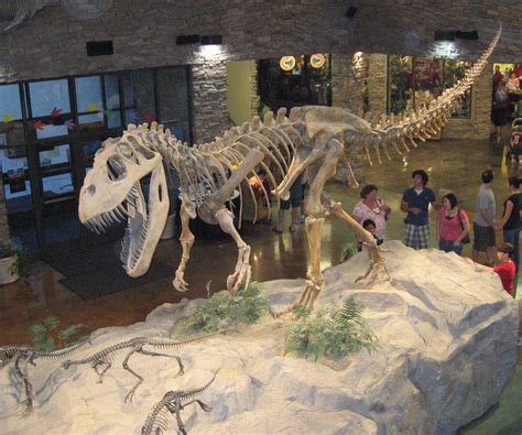 File:Museum AL dinosaur.jpg   Wikipedia