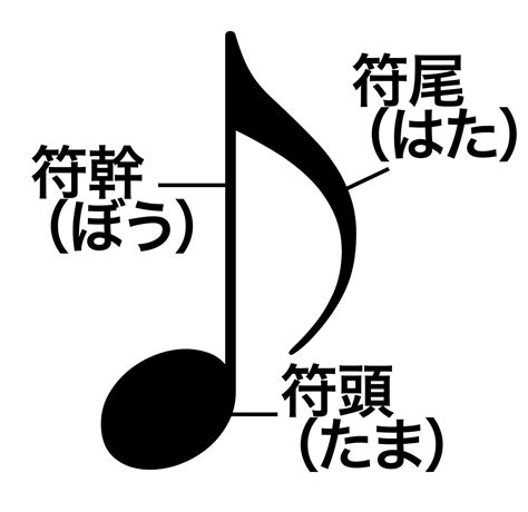 File:Parts of musical note.svg   Wikimedia Commons