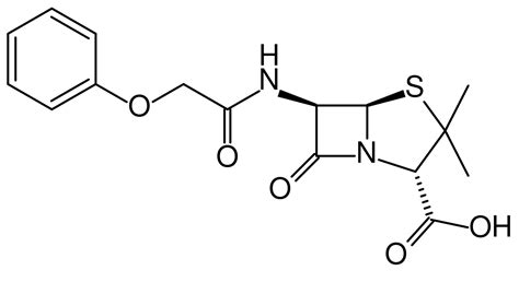 File:Penicillin V 2D skeletal.svg   Wikimedia Commons