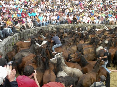 File:Rapa das Bestas em Sabucedo, 2009 07.jpg   Wikimedia ...